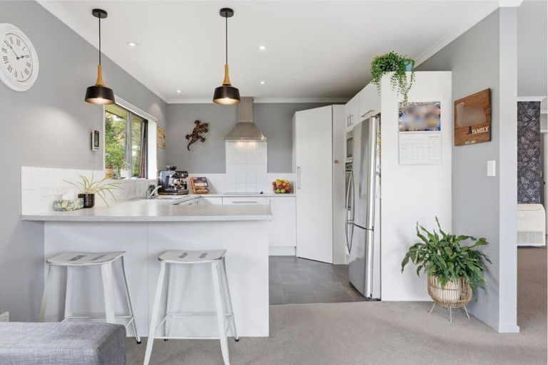 Photo of property in 48 Douglas Street, Allanton, Mosgiel, 9092