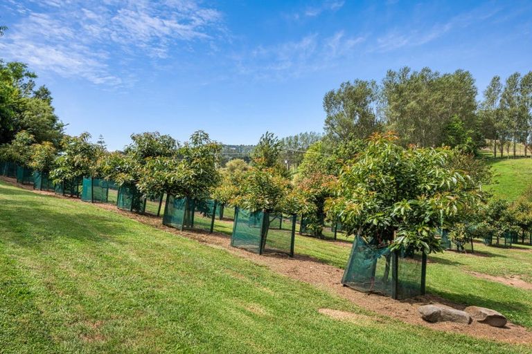 Photo of property in 484a Wright Road, Aongatete, Katikati, 3181