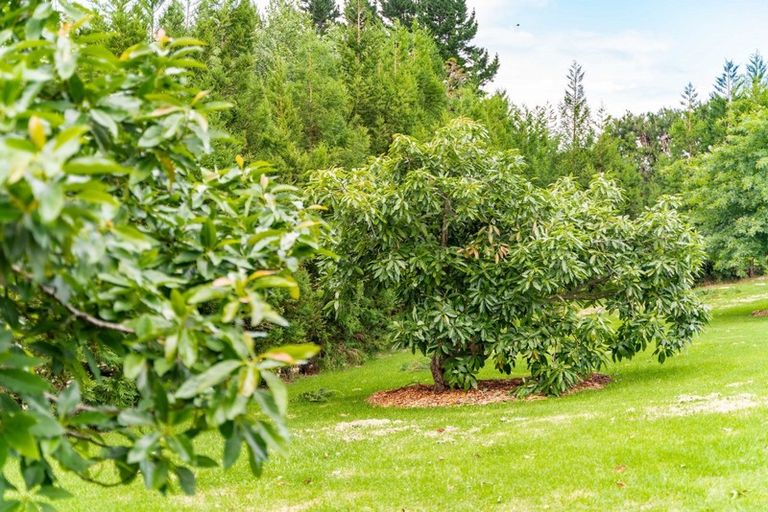 Photo of property in 381 Tara Road, Mangawhai, 0573