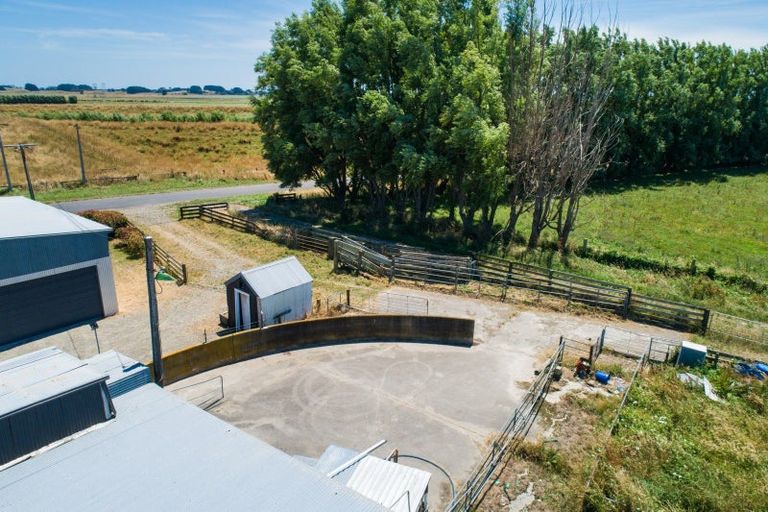 Photo of property in 269 Hoihere Road, Tiakitahuna, Palmerston North, 4477