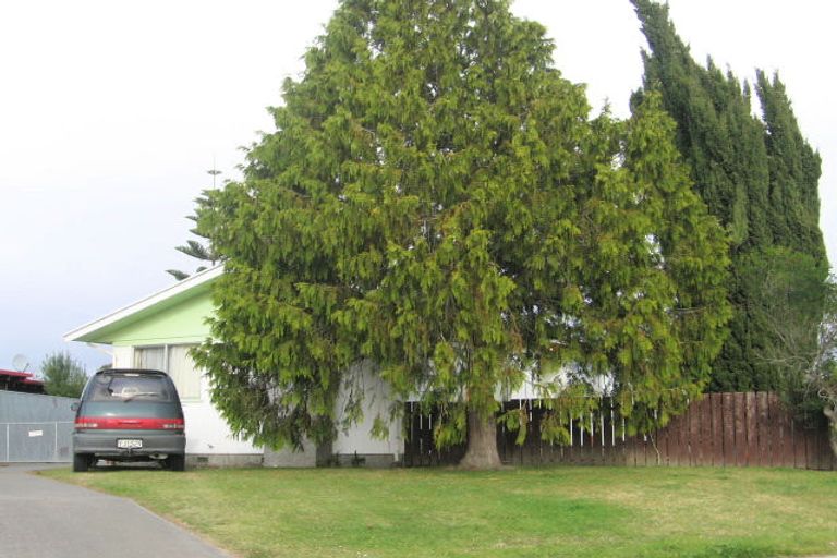 Photo of property in 15 Liverpool Crescent, Tamatea, Napier, 4112