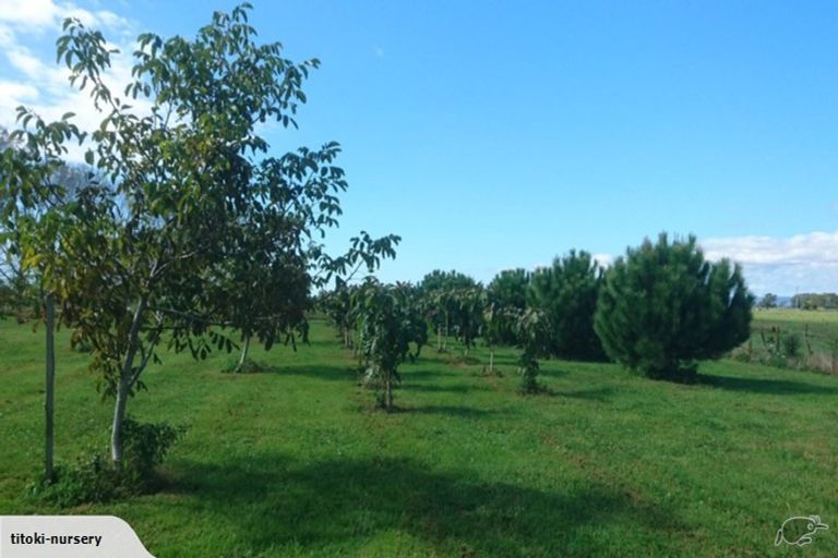 Photo of property in 324 Greig Road, Matata, Whakatane, 3194