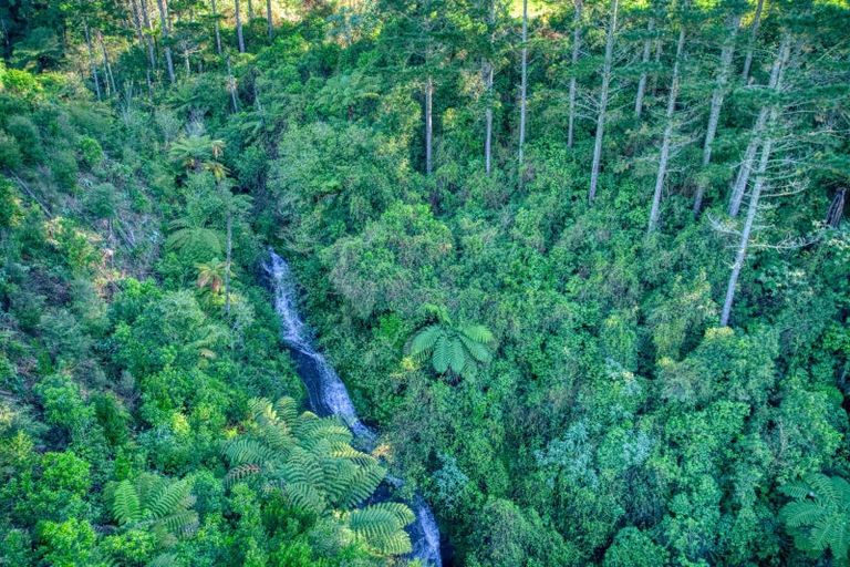 Photo of property in 299c Whakamarama Road, Whakamarama, 3179