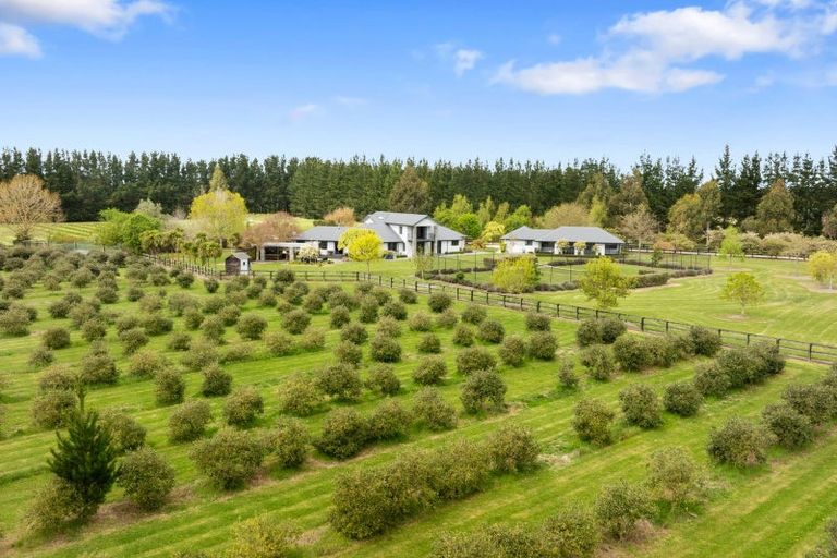 Photo of property in 498 North Eyre Road, Swannanoa, Rangiora, 7476