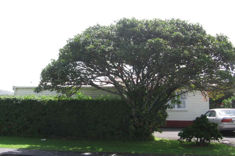 Photo of property in 45a Pinedale Place, Henderson, Auckland, 0610