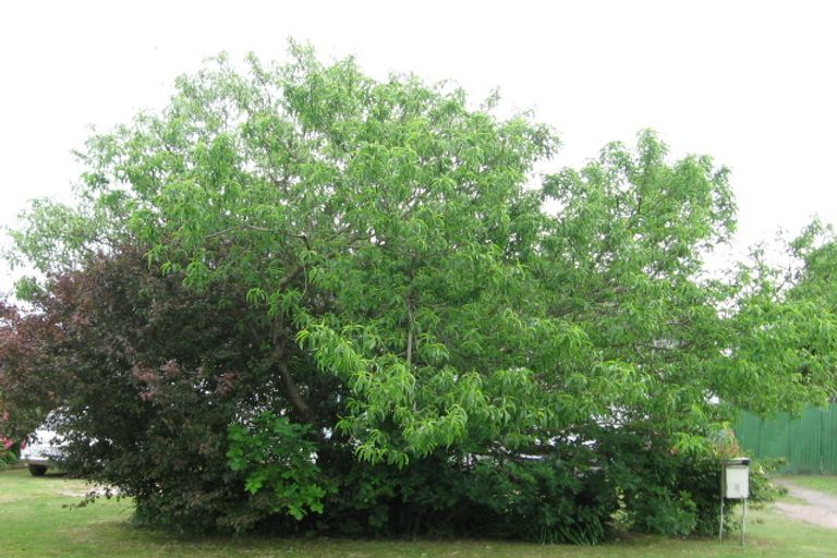 Photo of property in 6 Dalrymple Road, Mangapapa, Gisborne, 4010