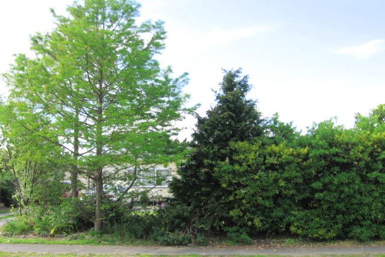 Photo of property in 15 Lyndhurst Street, Awapuni, Gisborne, 4010