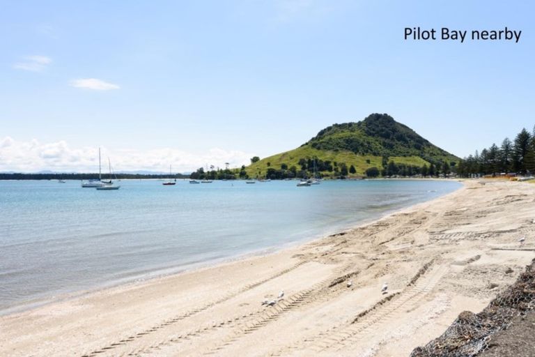 Photo of property in 40d Maunganui Road, Mount Maunganui, 3116