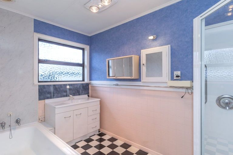 Photo of property in 19 Balmoral Street, Levin, 5510