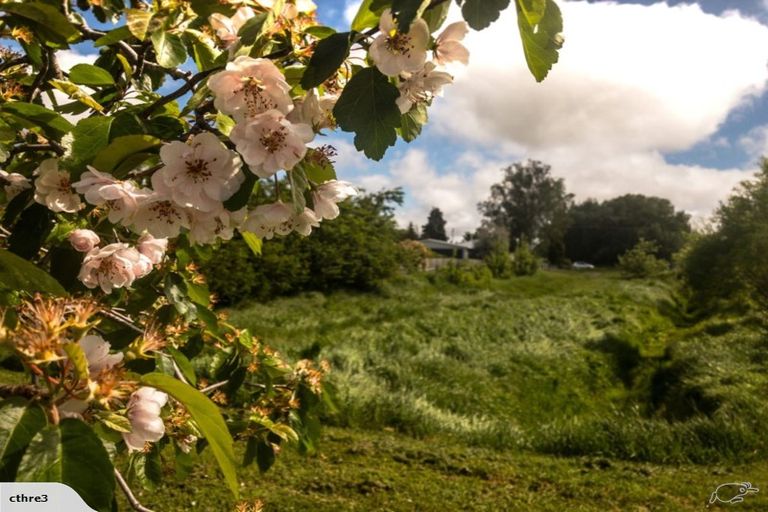 Photo of property in 12 Caulfeild Street, Ranfurly, 9332