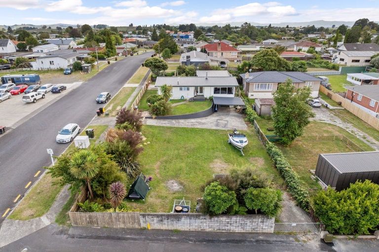 Photo of property in 22 Neal Street, Putaruru, 3411