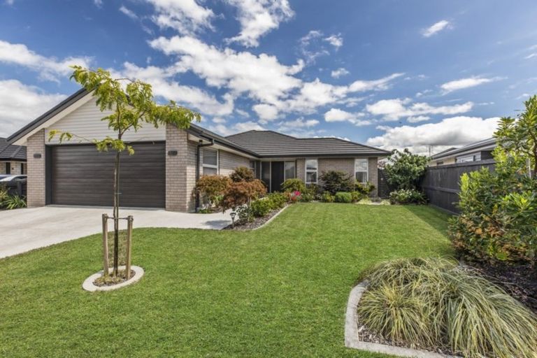 Photo of property in 31 Tuaia Street, Pyes Pa, Tauranga, 3112