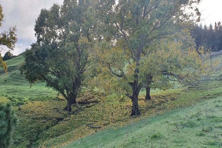 Photo of property in 1875 Kanakanaia Road, Whatatutu, Te Karaka, 4091