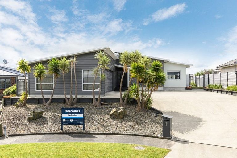 Photo of property in 1 Tennyson Avenue, Kelvin Grove, Palmerston North, 4414