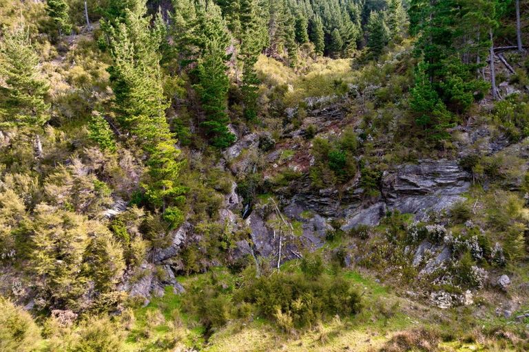 Photo of property in 895 Waikakaho Road, Tuamarina, Blenheim, 7273