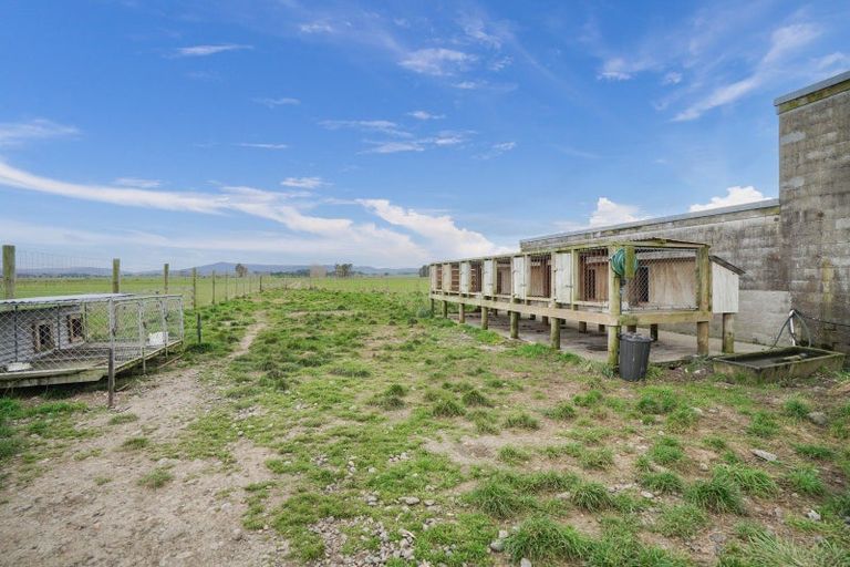 Photo of property in 565 Otautau Wreys Bush Road, Waikoura, Otautau, 9689