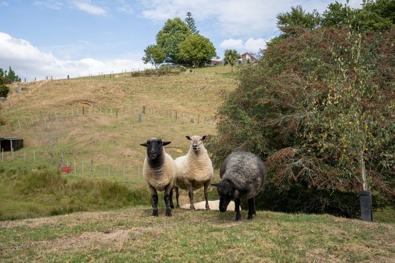 Photo of property in 1161 Maungakawa Road, Te Miro, Cambridge, 3496