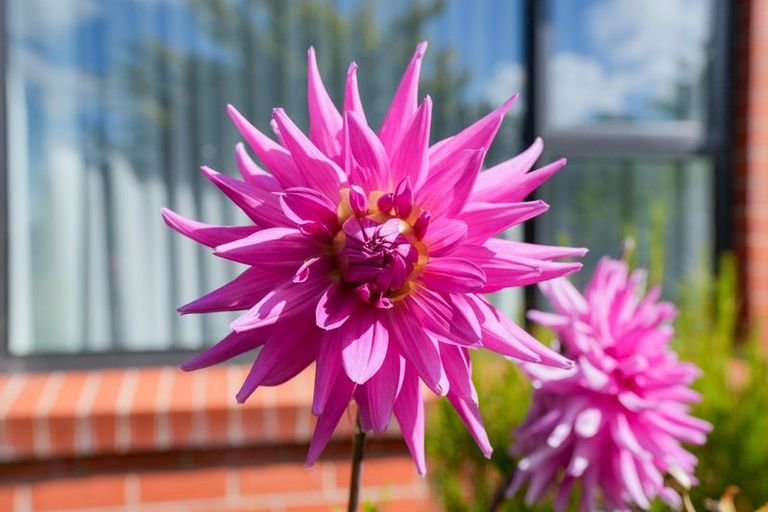 Photo of property in 145 Moana Street, Rosedale, Invercargill, 9810