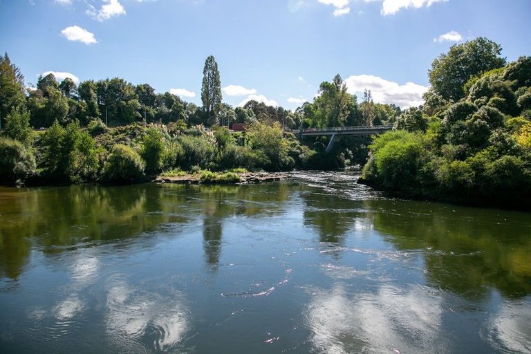 Photo of property in 6b Dominion Avenue, Cambridge, 3434