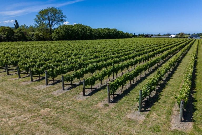 Photo of property in 5 Brook Street, Renwick, 7204