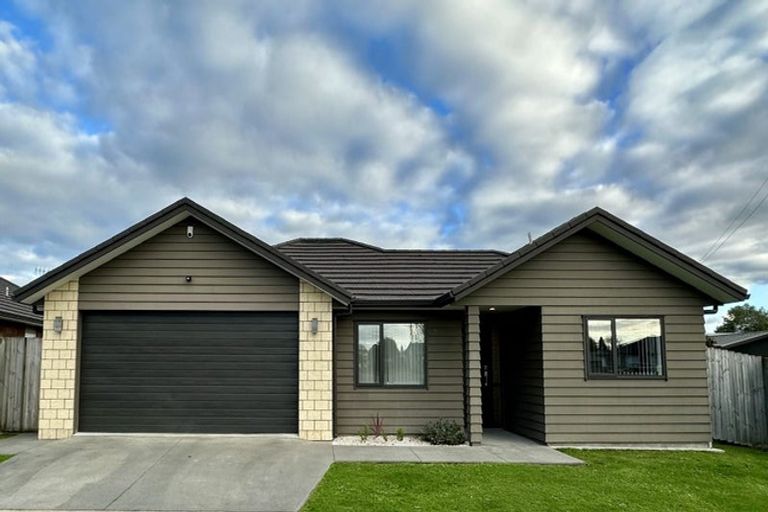 Photo of property in 147 Duke Street, Dinsdale, Hamilton, 3204