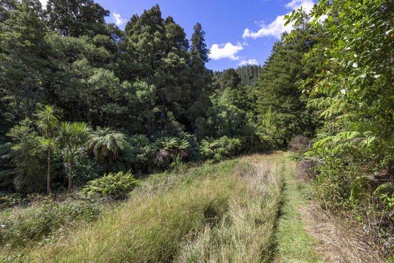 Photo of property in 944 Old Mountain Road, Waitetuna, Raglan, 3295