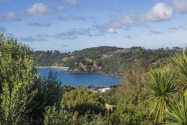 Photo of property in 38 Lax Crescent, Leigh, 0985