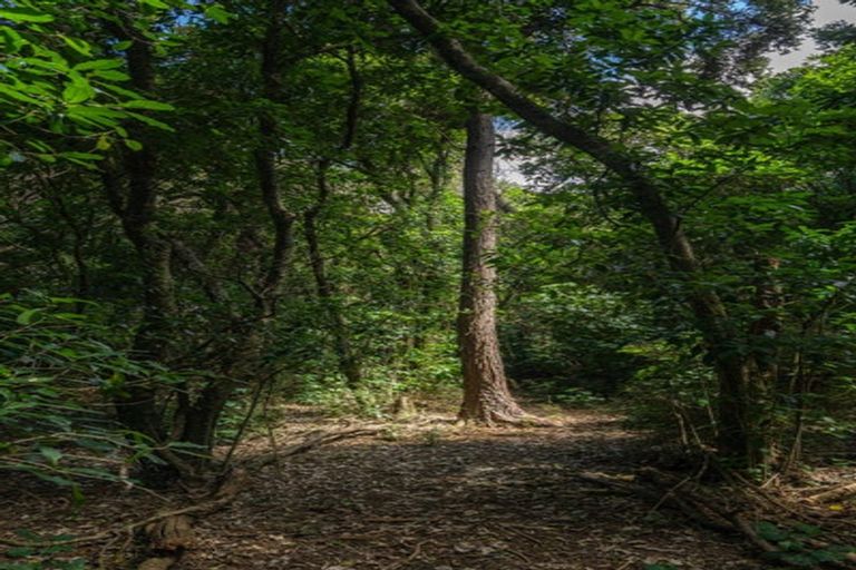 Photo of property in 342 Le Bons Bay Road, Le Bons Bay, Akaroa, 7583