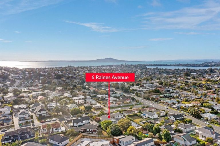 Photo of property in 6 Raines Avenue, Forrest Hill, Auckland, 0620