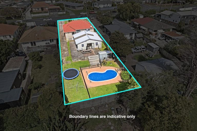 Photo of property in 101 Astley Avenue, New Lynn, Auckland, 0600