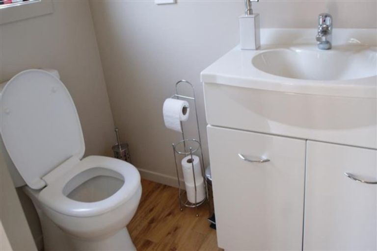 Photo of property in 16 Faulkland Drive, Witherlea, Blenheim, 7201