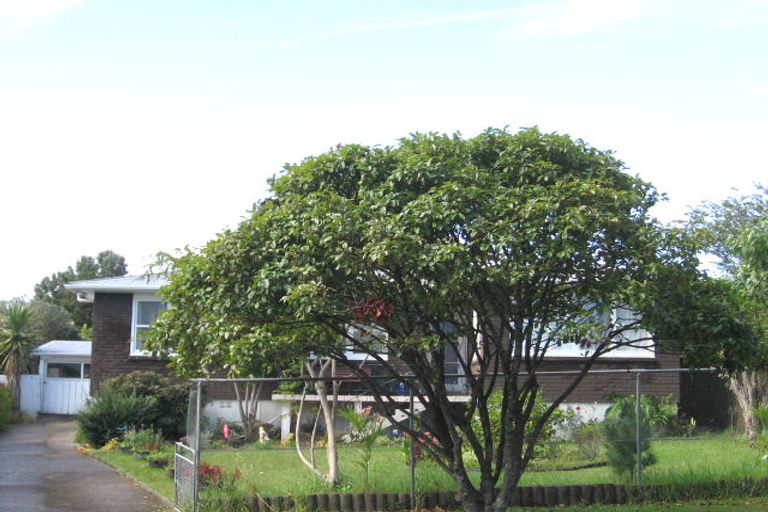 Photo of property in 3 Larissa Avenue, Henderson, Auckland, 0610