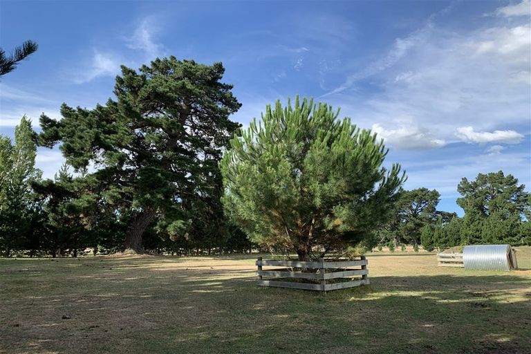 Photo of property in 80 Priors Road, Fernside, Rangiora, 7471