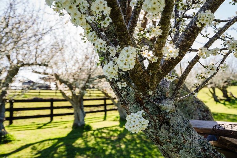 Photo of property in 48 Travers Road, Te Kauwhata, 3782