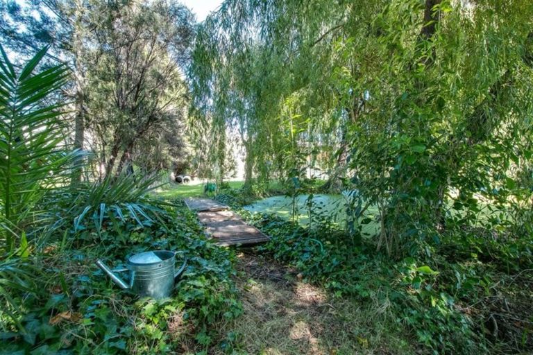 Photo of property in 33 Cedar Road, Te Awanga, 4102