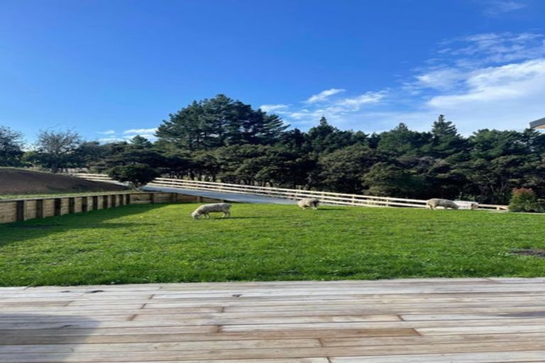 Photo of property in 165 Poyner Road, Makarau, Warkworth, 0981