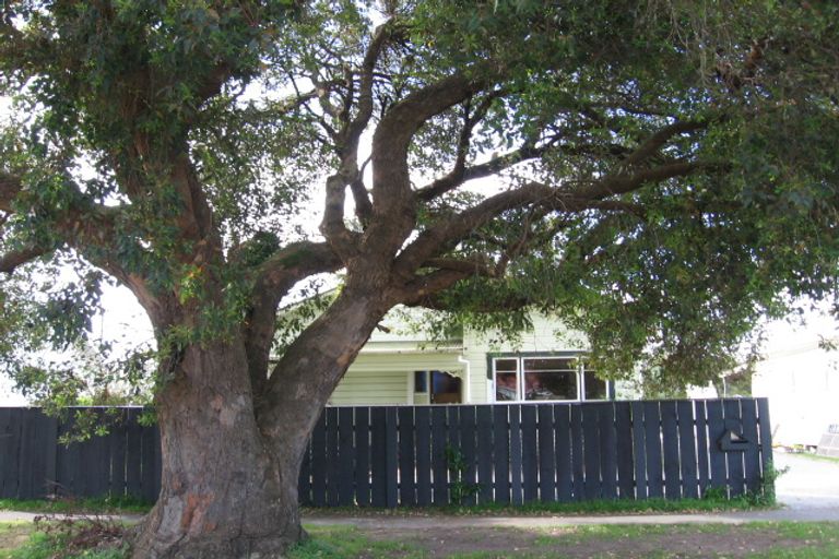 Photo of property in 31 Lyndhurst Street, Awapuni, Gisborne, 4010