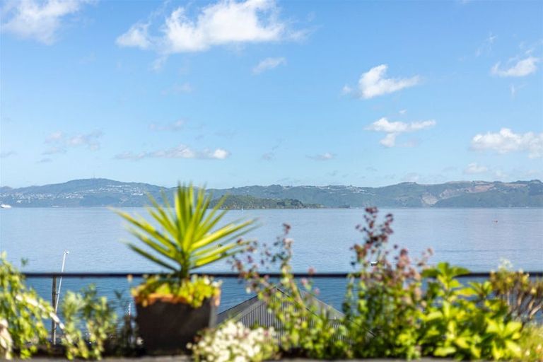 Photo of property in 616a Marine Drive, Days Bay, Lower Hutt, 5013