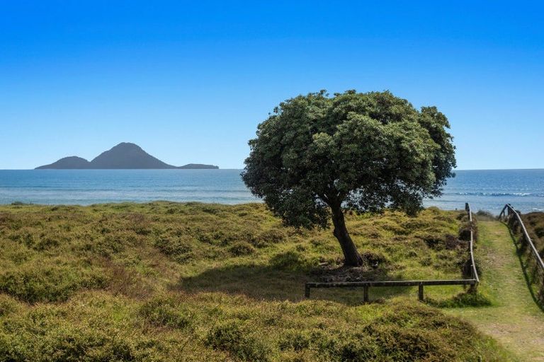 Photo of property in 14 Commodores Close, Coastlands, Whakatane, 3120