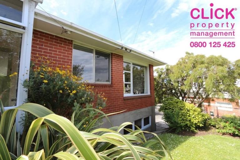 Photo of property in 59 Mailer Street, Mornington, Dunedin, 9011