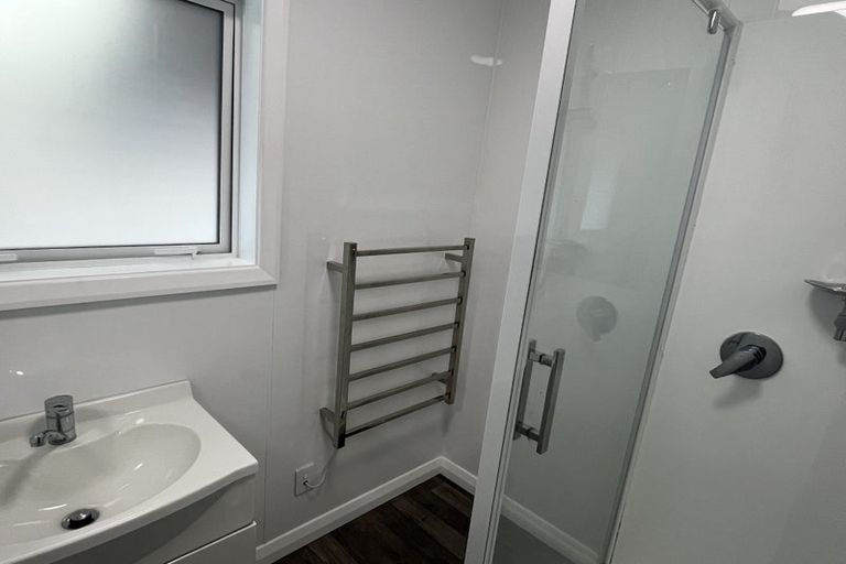 Photo of property in 120 Limbrick Street, Terrace End, Palmerston North, 4410