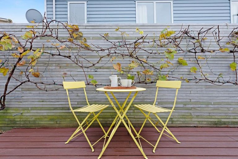 Photo of property in 17b Millward Street, Newtown, Wellington, 6021