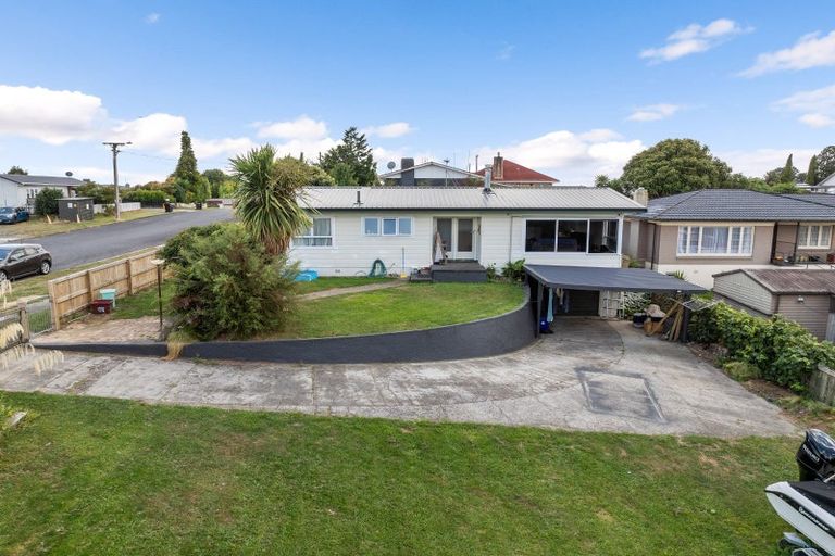 Photo of property in 22 Neal Street, Putaruru, 3411