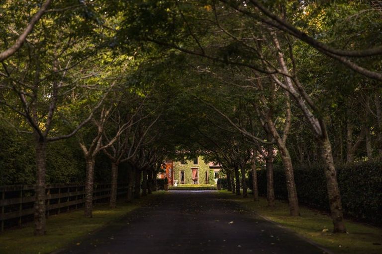 Photo of property in 16e Davidson Lane, Tamahere, Hamilton, 3283