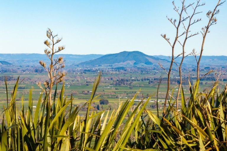 Photo of property in 90 Tirohanga Road, Maungatautari, Cambridge, 3495