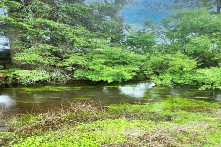 Photo of property in 161 Kawautahi Road, Owhango, 3989