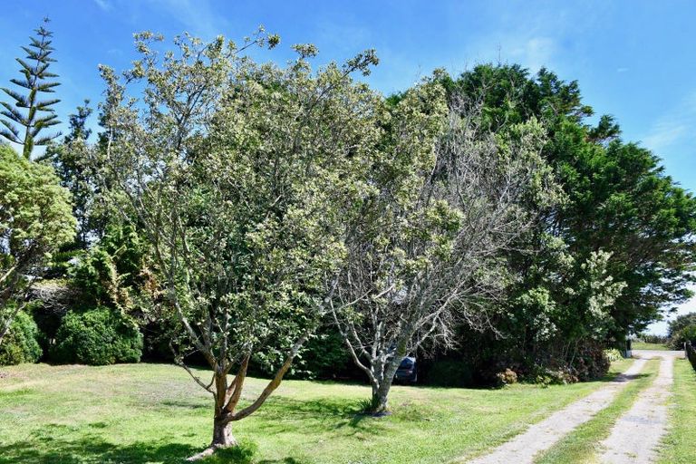 Photo of property in 3494 State Highway 67, Little Wanganui, Karamea, 7893