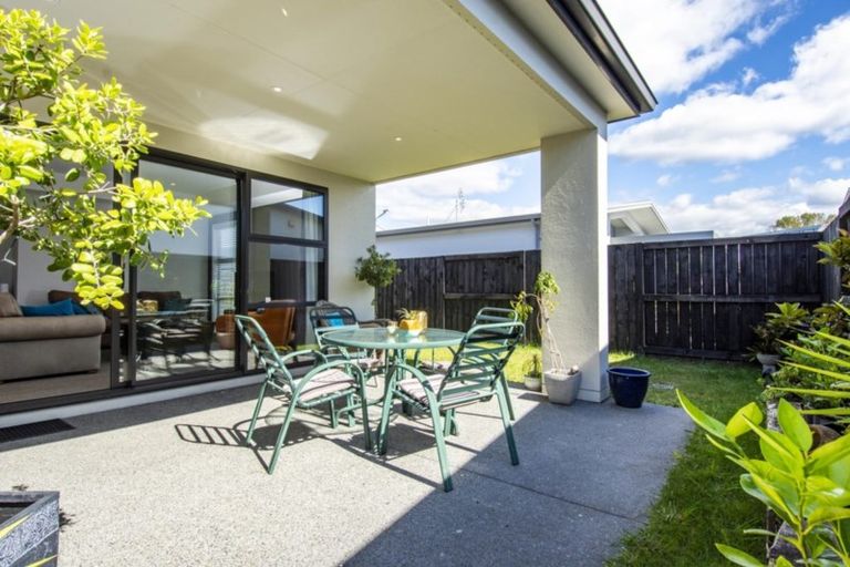 Photo of property in 14 Eden Crescent, Brookfield, Tauranga, 3110