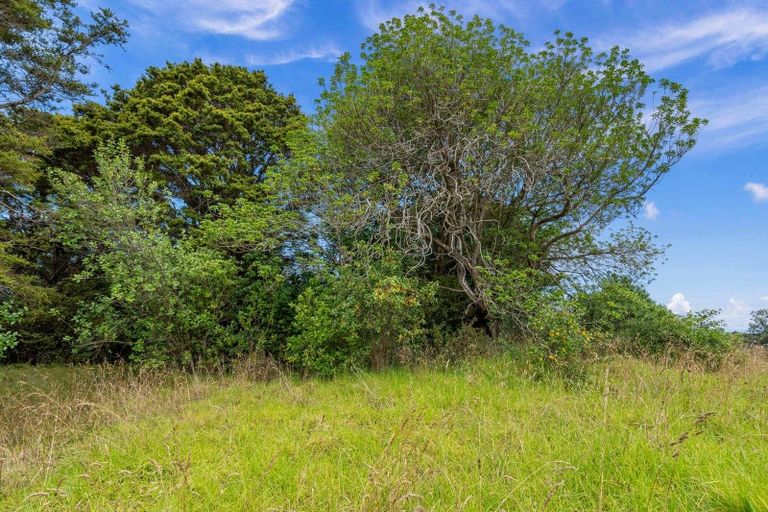 Photo of property in 88 Te Rongo Road, Parua Bay, 0174