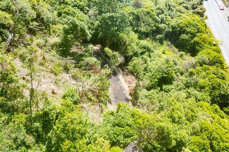 Photo of property in 344 Ohiro Road, Brooklyn, Wellington, 6021